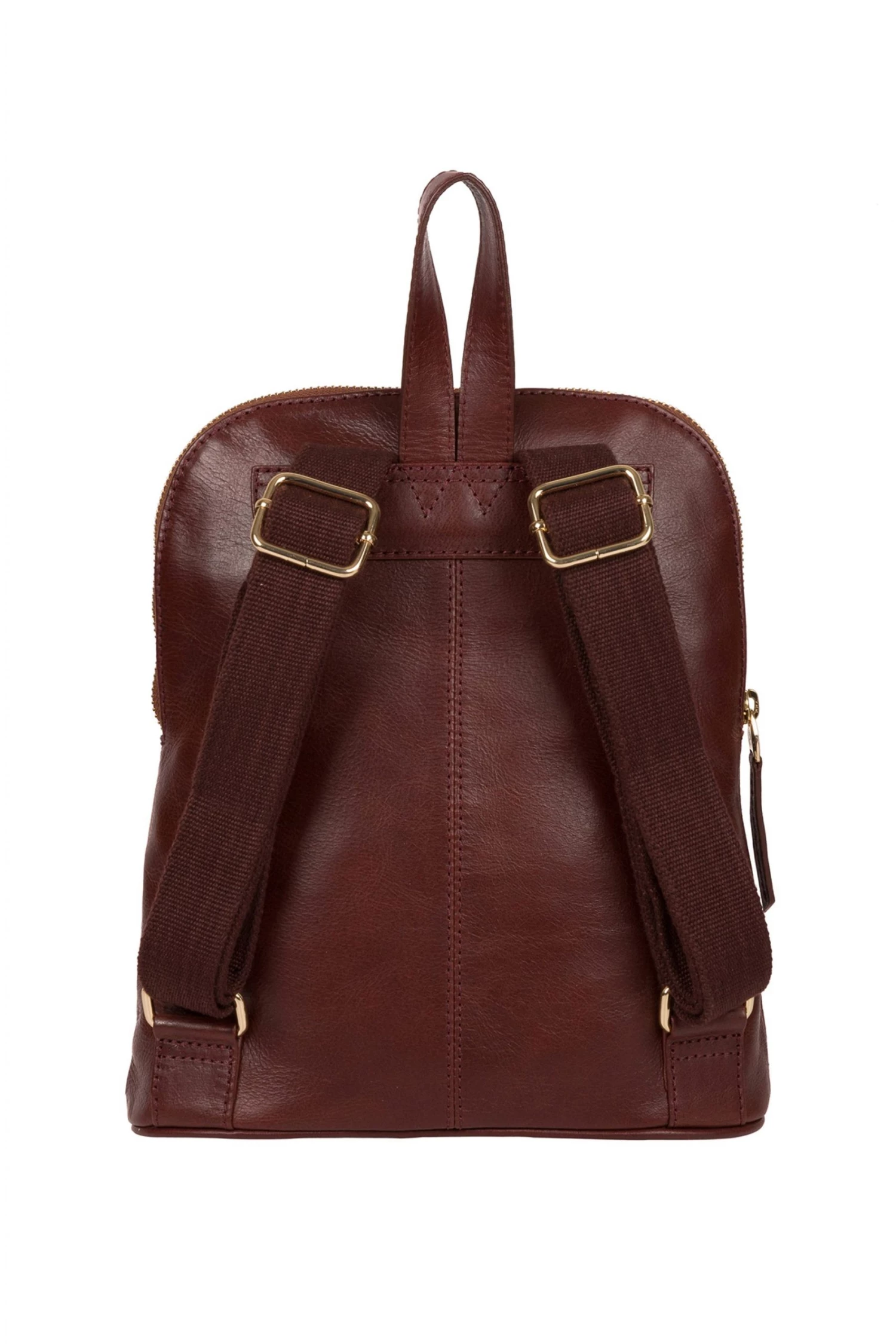 Pure Luxuries London Zinnia Leather Backpack Jet Black 5 Pure Luxuries London Zinnia Leather Backpack Jet Black - Image 3